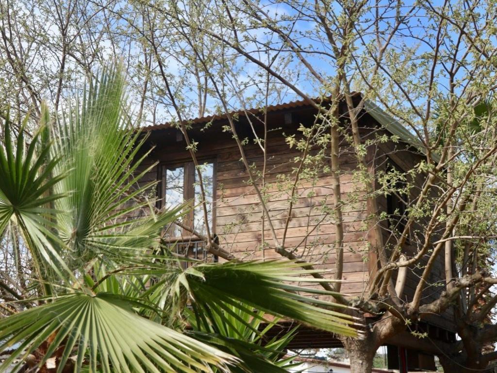 Naturetreehouse Casa Sobre Los Arboles Konuk evi Blanes Dış mekan fotoğraf