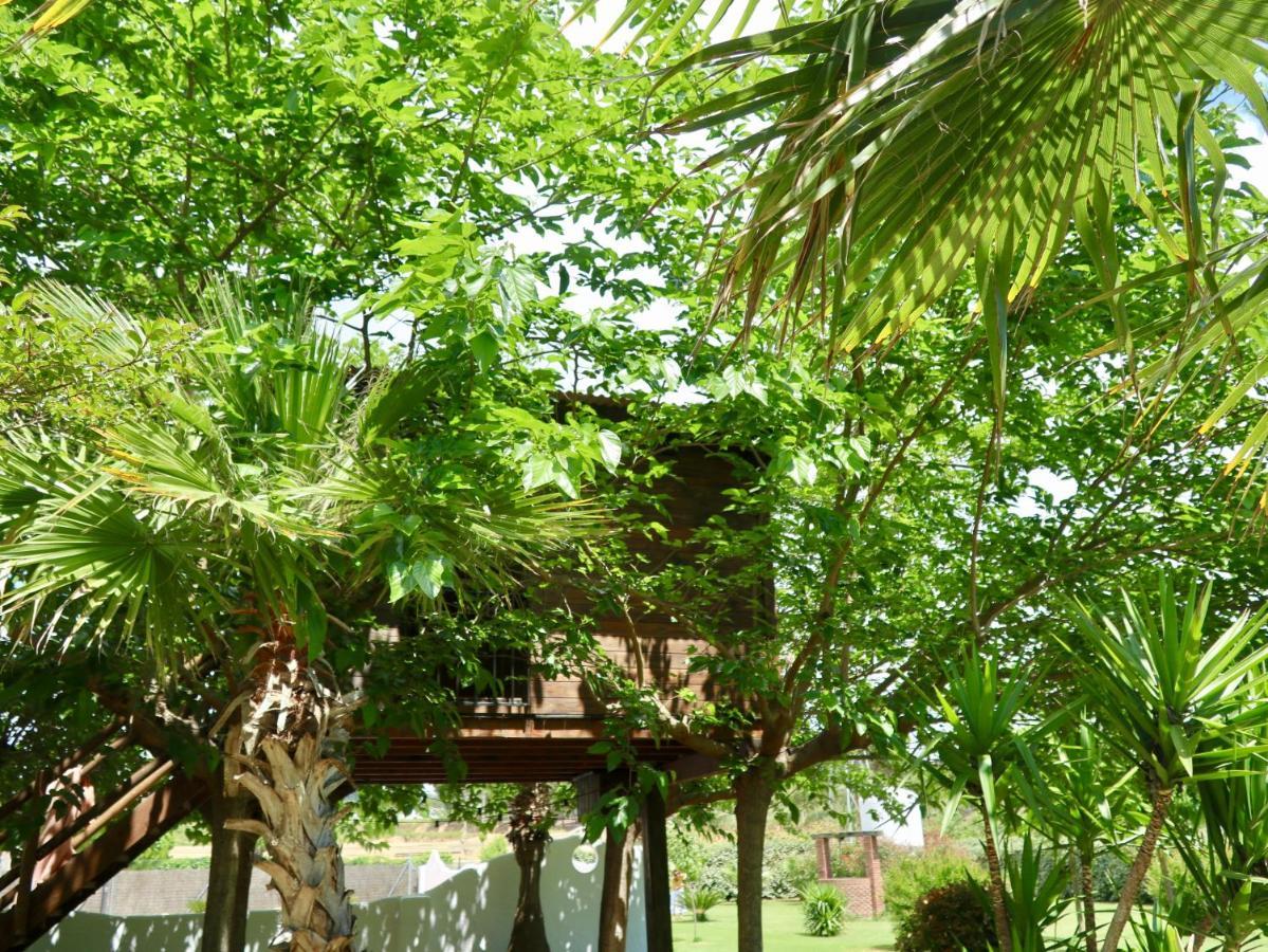 Naturetreehouse Casa Sobre Los Arboles Konuk evi Blanes Dış mekan fotoğraf